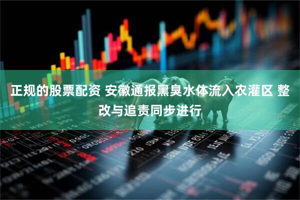 正规的股票配资 安徽通报黑臭水体流入农灌区 整改与追责同步进行